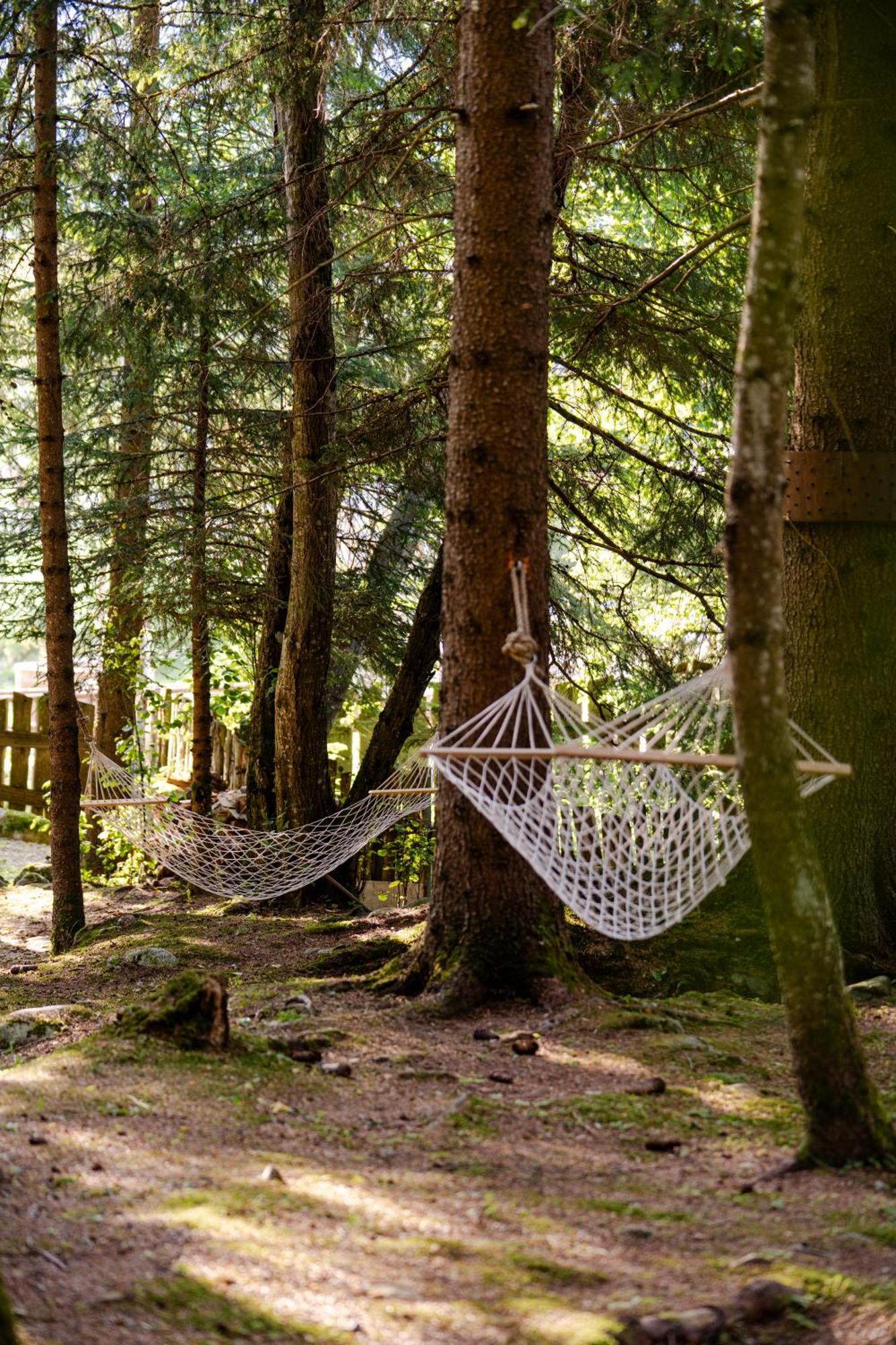 La Tana Dell'Orso Hotel & Spa Ponte Di Legno Eksteriør billede