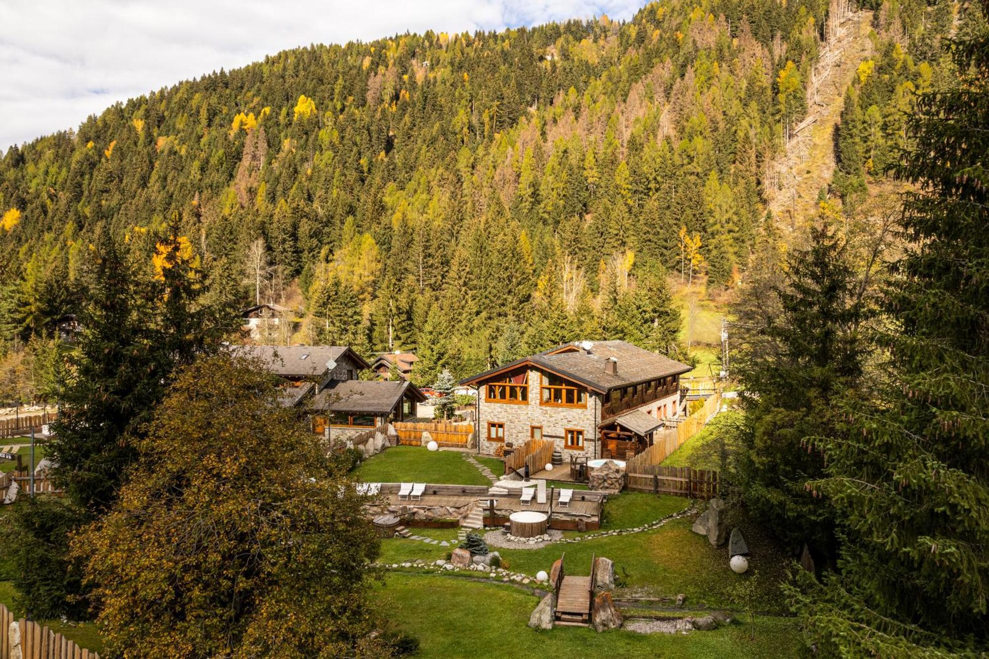 La Tana Dell'Orso Hotel & Spa Ponte Di Legno Eksteriør billede