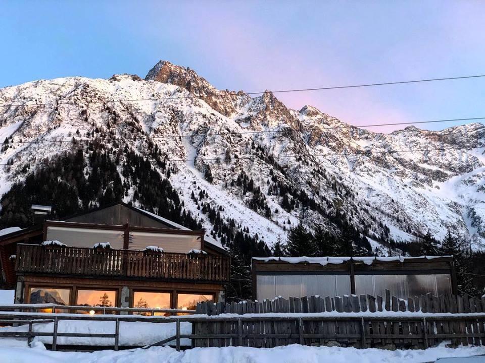 La Tana Dell'Orso Hotel & Spa Ponte Di Legno Eksteriør billede