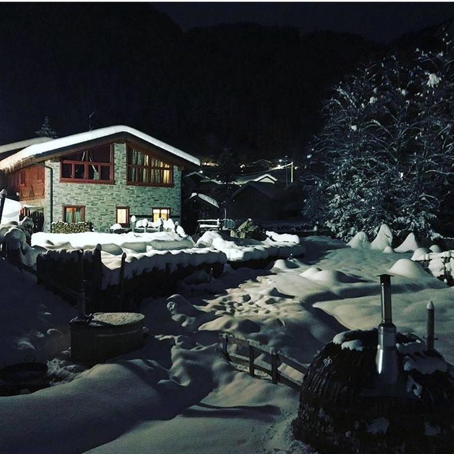 La Tana Dell'Orso Hotel & Spa Ponte Di Legno Eksteriør billede