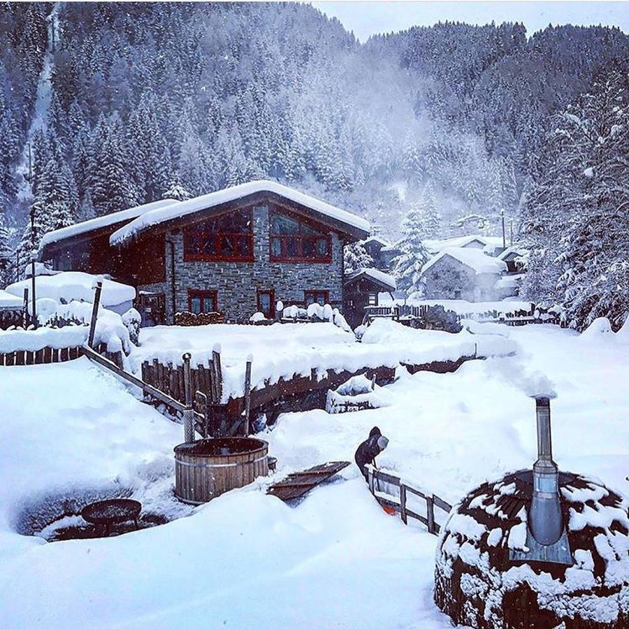 La Tana Dell'Orso Hotel & Spa Ponte Di Legno Eksteriør billede