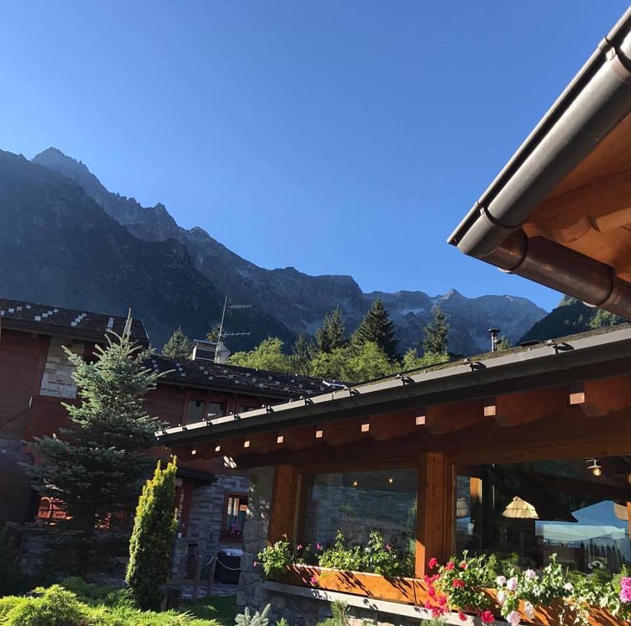 La Tana Dell'Orso Hotel & Spa Ponte Di Legno Eksteriør billede