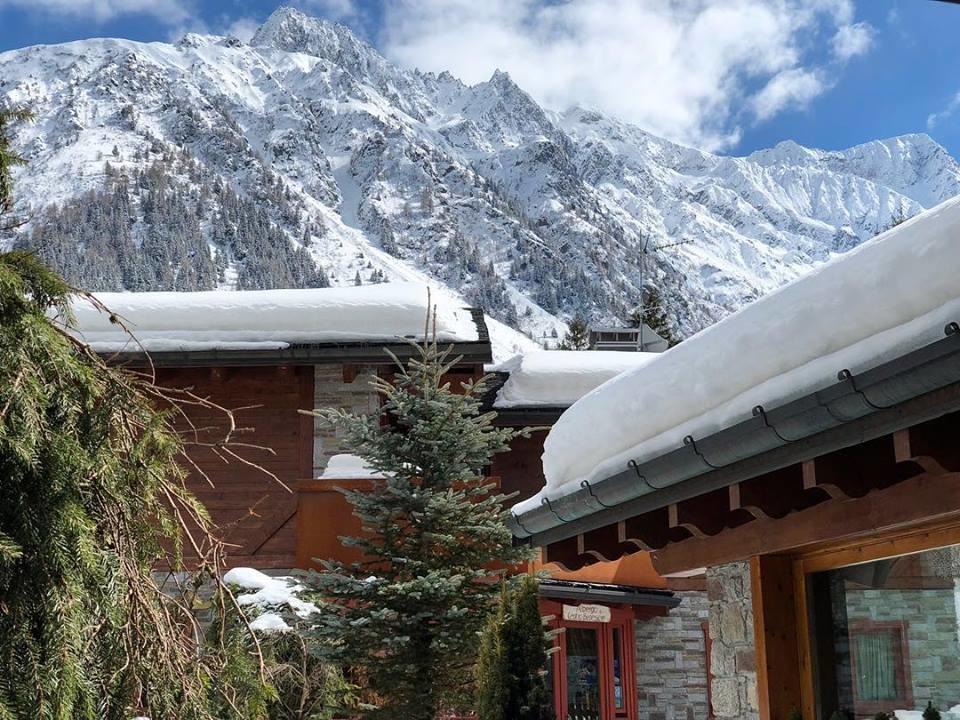La Tana Dell'Orso Hotel & Spa Ponte Di Legno Eksteriør billede