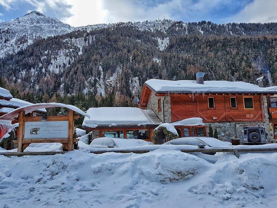 La Tana Dell'Orso Hotel & Spa Ponte Di Legno Eksteriør billede