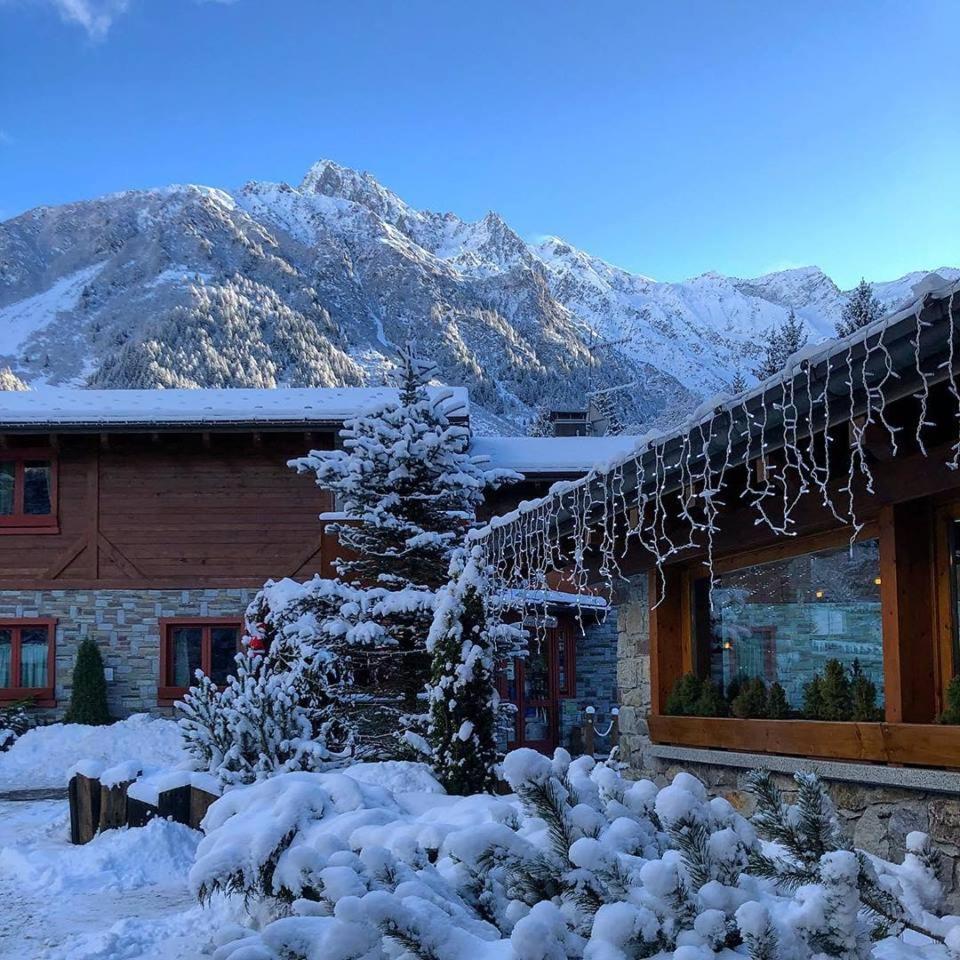 La Tana Dell'Orso Hotel & Spa Ponte Di Legno Eksteriør billede